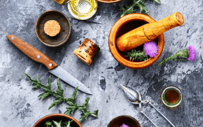 Top 5 herbs to stay healthy this Fall