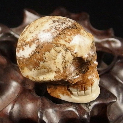 Crystal Skull - Picture Jasper Crystal Skull